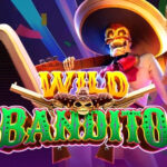 Wild Bandito